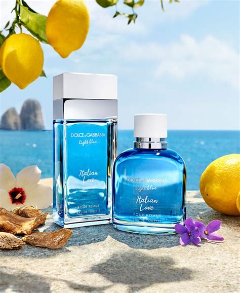 macy's dolce and gabbana light blue